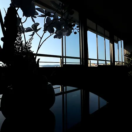 Bella - Complex Rainbow