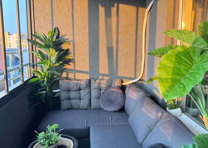 Bella - Complex Rainbow סאני ביץ'