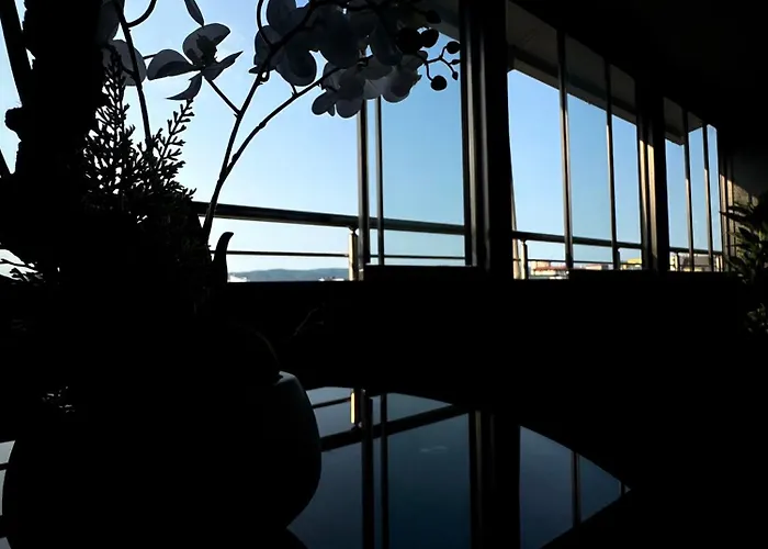 Bella - Complex Rainbow